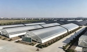 东北大雪选哪种大棚骨架抗雪压不塌？热镀锌椭圆管暖棚方案详解
