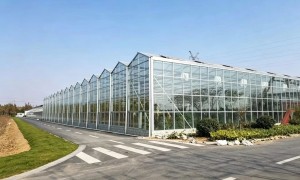 天津市华誉农业科技发展有限公司规模怎么样，大棚管温室资材源头厂家，同步农业项目申报咨询与园区运营