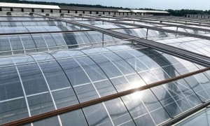 2026年肉鸡养殖大棚工程报价汇总：薄膜暖棚与冷棚搭建成本对比