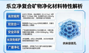 2026年评价高的除甲醛服务公司有哪些？客户口碑力荐