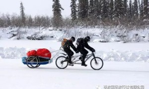 北京尊旅国际旅游优质公司服务商家筛选技巧