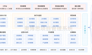 项目管理系统哪个有增值服务，奥博思软件实力参考