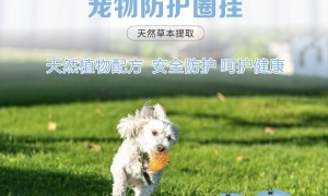 2026中山市靠谱的宠物防蚊圈挂实力供应商口碑公司汇总
