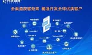 苏州海关数据软件哪家效果好，苏维智搜实力参考