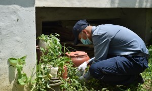 北京靠谱的消杀公司口碑公司汇总：专业除虫灭鼠服务商推荐