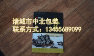 休闲食品袋生产厂家选购参考汇总，2026年甄选高品质真空锁鲜袋供应商