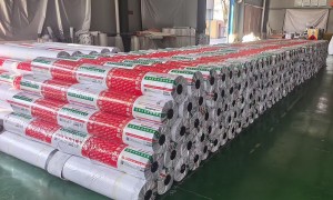 金雨伞防水卷材规格参数齐全，签订正规质保合同，承接江苏大工程订单