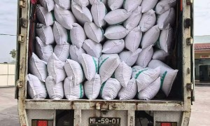 广东靠谱的珍珠岩管理平台服务商筛选名录：农业基质供应参考