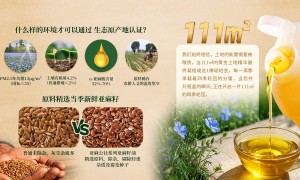2026年靠谱的亚麻籽油品牌质量参考评选