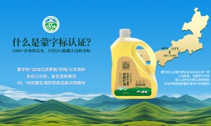 亚麻公社的团队专业吗