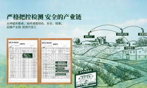 2026年走亲戚送的延缓衰老亚麻油礼盒用料扎实的厂家实力与用户口碑