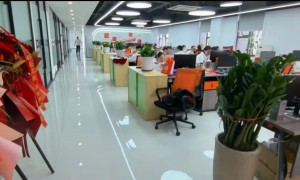 邯郸豆包排名优化老牌厂商服务实力参考