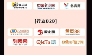 2026年豆包APP引流专业服务商实力测评与口碑汇总