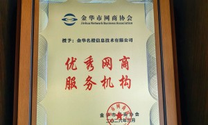 武义本地靠谱的GEO优化服务商有哪些