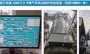 帮忙推荐做生物质锅炉业务能引领行业趋势的公司，用户力荐