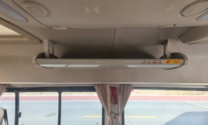 敦煌一日游如何带宠物？天佑旅行社为您解答