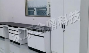 河北实验室工作台源头工厂，行业现状与选择指南