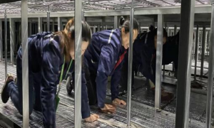 机房噪声治理后清洁怎么做才达标？苍龙高科机房保洁工艺（含UPS间除尘、线缆整理与标签更新）