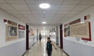沧州文化展厅设计施工行业现状与选择指南，客户口碑力荐