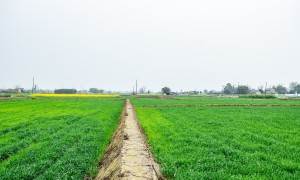 2026年评价高的特色种植生产车间有哪些，资质齐全的厂家盘点