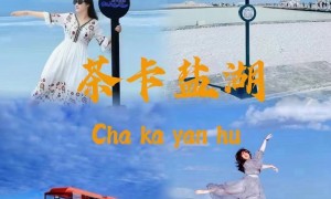 2026年靠谱的适合接待出行的包车游公司有哪些推荐