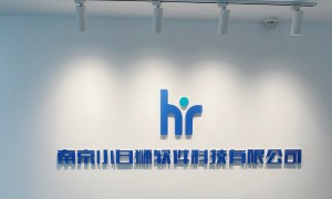 上海软件人力外包公司哪家强 小白狮科技资深团队驻场 适合互联网及金融项目