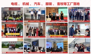 河北知名的企业短视频培训机构有哪些，行业全景分析