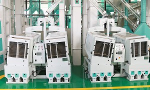 河北省大型大米加工企业有哪些 源头工厂合作实力参考