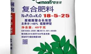 叶菜类蔬菜生根提苗专用肥哪个好？广受信赖的门店挑选全攻略