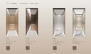 2026年甄选别墅家用电梯私人定制供应商实力参考