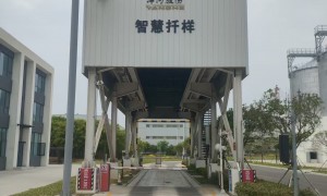 辽源资质齐全的玉米自动扦样机加工厂挑选全攻略