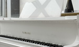 强化音乐基础的音乐集训学校怎么选 省心不踩坑指南