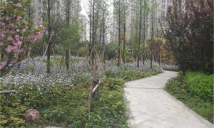 2026年风景园林规划设计行业现状与市场占有率及排名研究分析报告