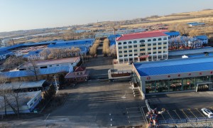 玉米播种机品牌哪个质量好 勃农兴达机械厂家实力参考