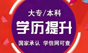 2026年热门的积分落户服务商选购参考汇总