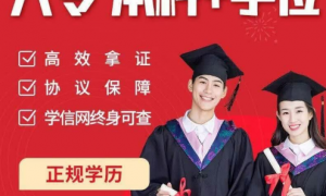 2026年正规的护士专升本机构推荐，广受信赖的优选