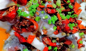 荆州清江肥鱼正规机构服务商家筛选技巧