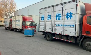 2026年干冰清洗服务行业全景分析：用户口碑力荐与实力盘点