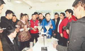 2026年合肥食用菌生产基地：虫草花生产厂家服务覆盖实力参考