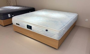 床垫源头厂家发展现状与市场占有率分析报告