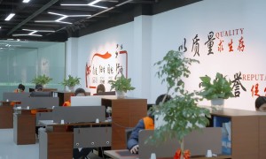 广东蔬菜配送公司食材新鲜度与配送准时率反馈如何