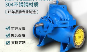 美国卧式离心泵加工厂哪个专业？制泵靠谱供应商质量参考评选