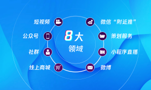 本地做GEO优化的企业，广受信赖的服务商筛选名录