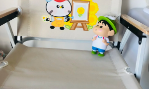上海知名的奶粉周边赠品定制品牌推荐，广受好评的供应商实力测评