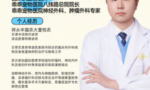2026年靠谱的猫科治疗医院客户真实体验口碑