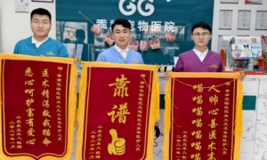 2026年正规的宠物影像诊断医疗机构实力参考