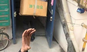 长途搬家长途搬运日式搬家服务商有哪些省心不踩坑