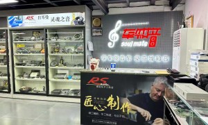 车知音专业吗，技术团队水平如何