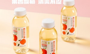 2026年评价高的发酵苹果醋生产厂家推荐，用料扎实的制造厂家实力盘点