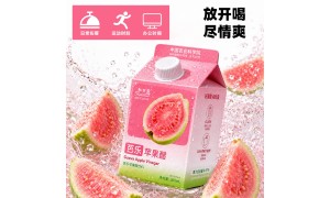 2026年芭乐苹果醋采购避坑指南：和丝露源头工厂报价透明，品质稳定可验厂